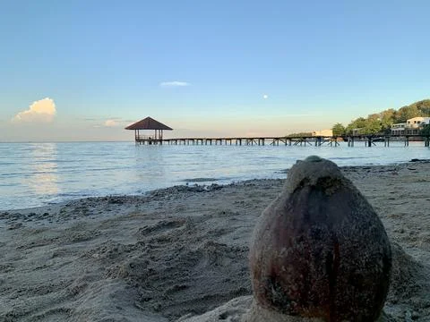 Coconut Shell on Sandy Shore with Gazebo Pier at Tanjung Lesung Beach Stock Photos