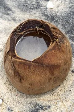 Coconut shell is sitting on the ground, with a small piece of it missing 스톡 사진