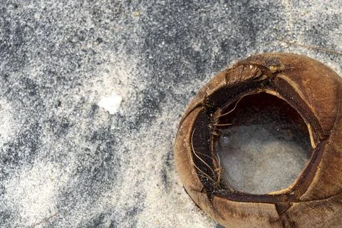 Coconut shell is sitting on the ground, with a small piece of it missing 스톡 사진