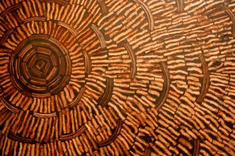 Coconut shell wall. Stock Photos