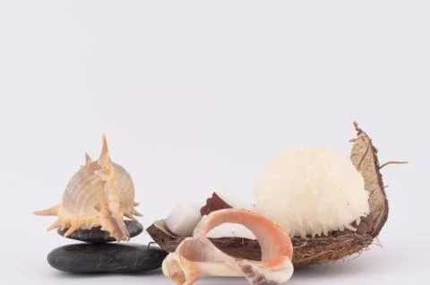 Coconut, shells and coconut sweets Stock Photos