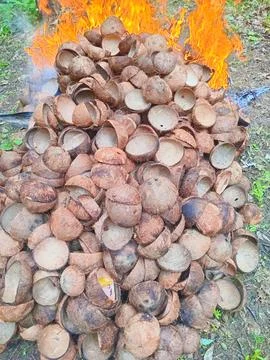 Coconut shells that are burned to sell charcoal Stock Photos