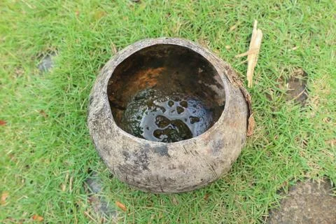 Coconut shells are shaped in such a way as to form a unique bath dipper Stock Photos
