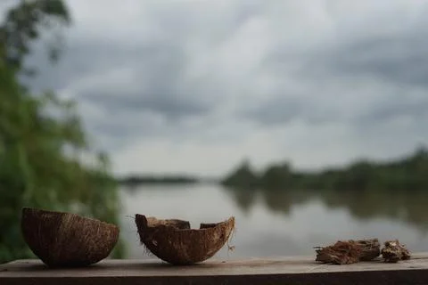 Coconut Shells by the river depth of field Stock Photos