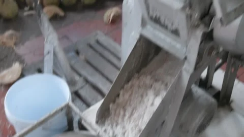 Coconut shredding machine processing fresh coconut in a kitchen in Vietnam Stock Footage 335050002