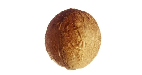 Coconut Spinning and Rotating Isolated on White Background Suspended in Air Video stock 99859809