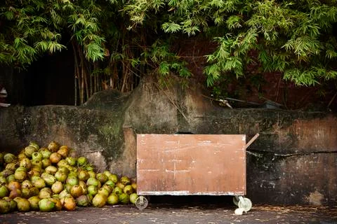 Coconut Stall 库存照片