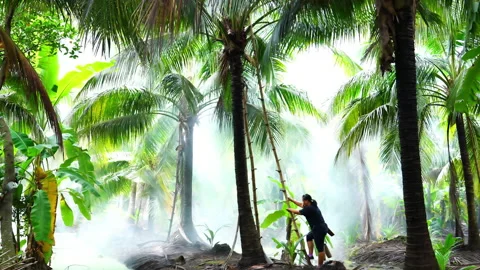 Coconut sugar production process. Stock Footage 142983376