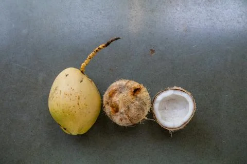 Coconut in three forms tender, pealed and cracked Stock Photos