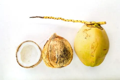 Coconut in three forms tender, pealed and cracked Stock Photos