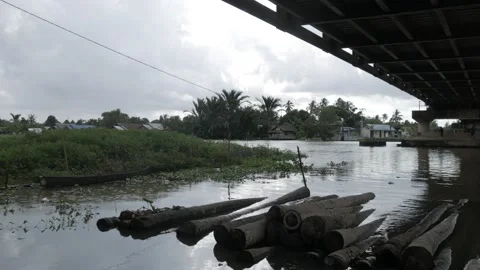 Coconut timber piled up under the bridge of Martapura river Stock Footage 133444757