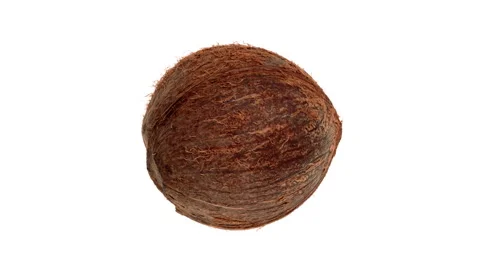 Coconut top view. Rotating. White background. Stock-Footage 161038690