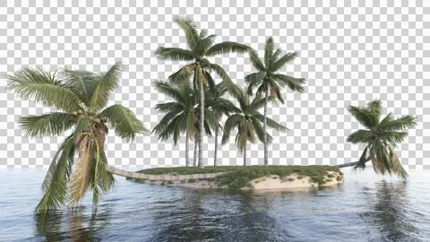 	 Coconut tree in 3d rendering isolated on island Stock Photos