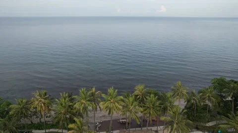 Coconut tree with beach Stock Footage 176957509