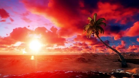 Coconut tree on a Beautiful Sunset Stock Footage 84673715