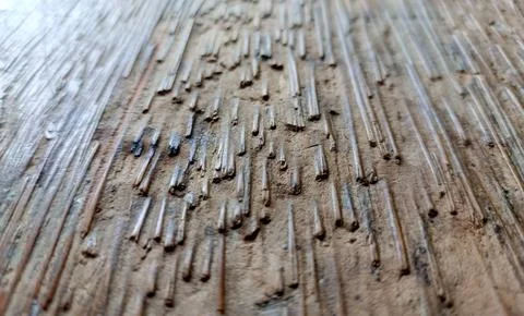 Coconut Tree Floorboard Fiber Texture Foto stock