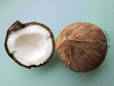 Coconut tree fruit coconut split into two halves isolated on blue background. Stock Photos