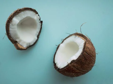 Coconut tree fruit coconut split into two halves isolated on blue background Stock Photos