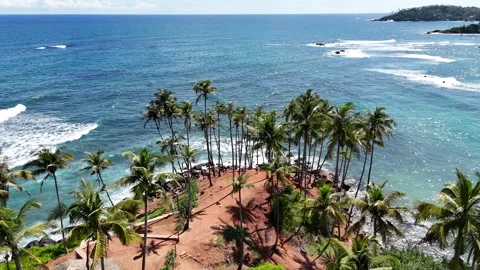 Coconut Tree Hill, Mirissa Stock Footage 295198420