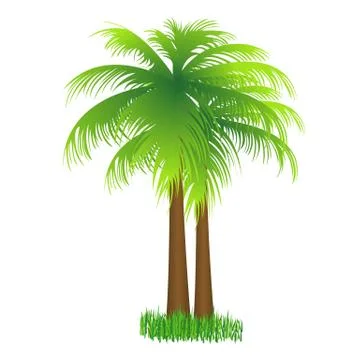 Coconut tree Stock Illustration