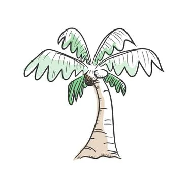 Coconut Tree Stock Illustration