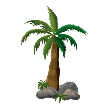 Coconut  Tree Stock Illustration