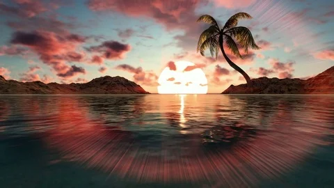Coconut Tree on islands,beautiful sunset Stock Footage 72642044