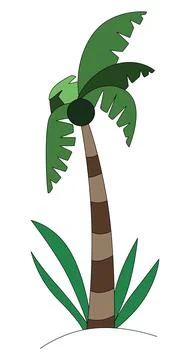 Coconut Tree isolated on a white background Stock Illustration