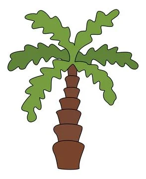 Coconut tree isolated on a white background Stock Illustration