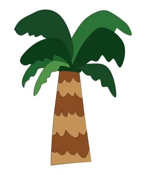 An coconut tree isolated on a white background Illustrazione stock