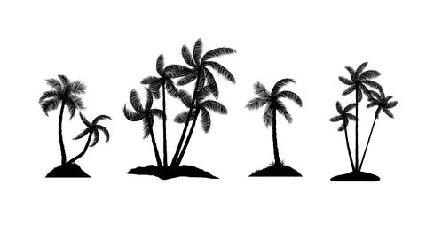 Coconut tree with leaf isolated white background vector illustration Illustrazione stock