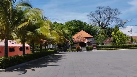 Coconut tree leaves moving in the wind Stock Footage 223848884