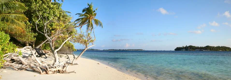Coconut tree in the paradise Stock Photos