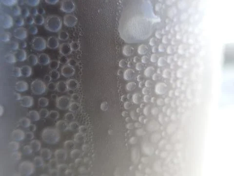 Coconut Tree Stock Photos