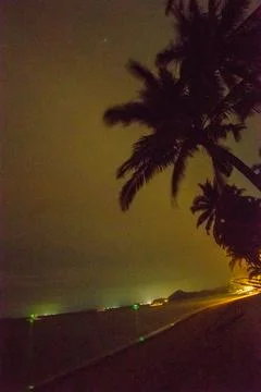 Coconut tree Stock Photos