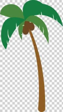 Coconut tree Stock Photos