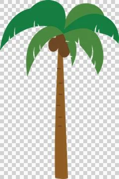 Coconut tree Stock Photos