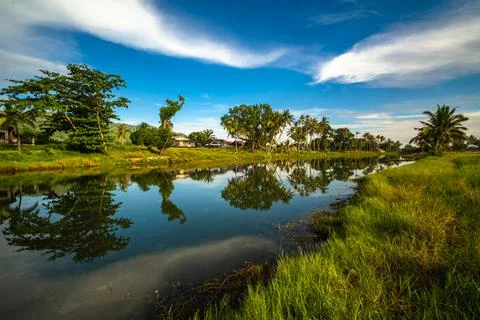 Coconut tree reflect shadow on surface of river beautiful sky in Beserah, Mal Foto stock