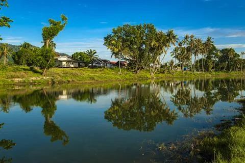 Coconut tree reflect shadow on surface of river beautiful sky in Beserah, Mal Stock Photos