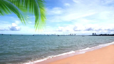 Coconut tree with summer beach background Stock Footage 135214103