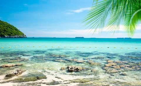 Coconut tree with summer beach background Stock Photos