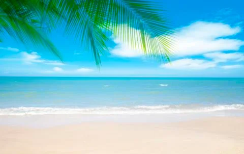 Coconut tree with summer beach background Stock Photos