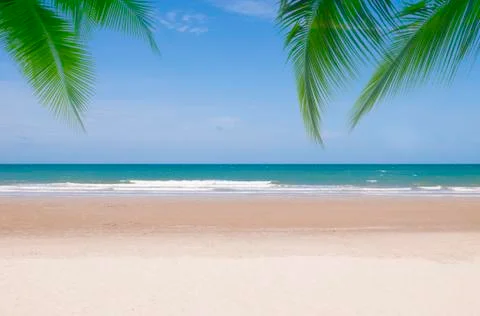 Coconut tree with summer beach background Stock Photos