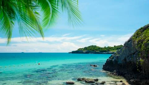 Coconut tree with summer beach background Stock Photos