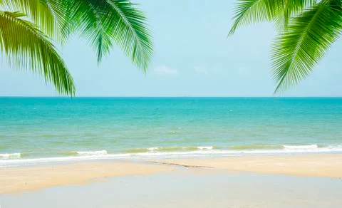 Coconut tree with summer beach background Stock Photos