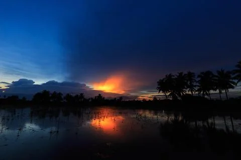 Coconut tree in sunset background. Stock Photos