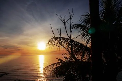 Coconut tree with sunset. Foto stock