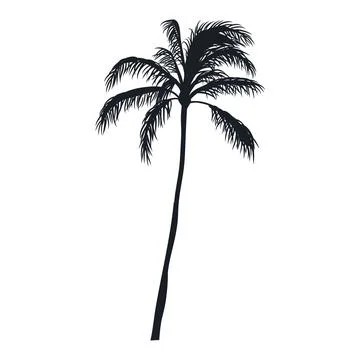 Coconut tree vector silhouette Stock Illustration