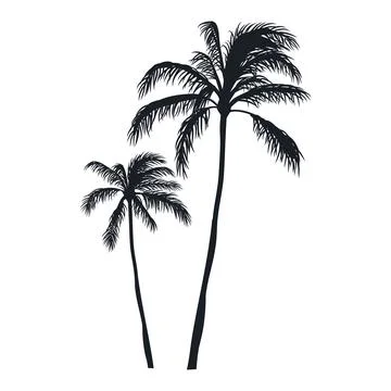 Coconut tree vector silhouette Stock Illustration