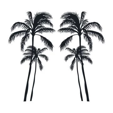 Coconut tree vector silhouette 스톡 일러스트